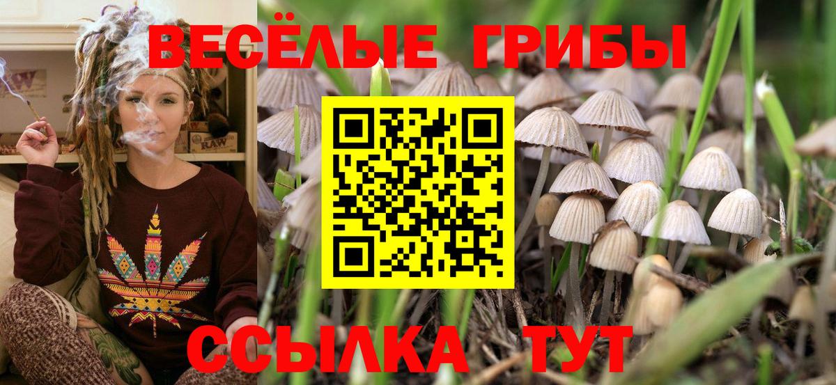Галлюциногенные грибы GOLDEN TEACHER Ефремов