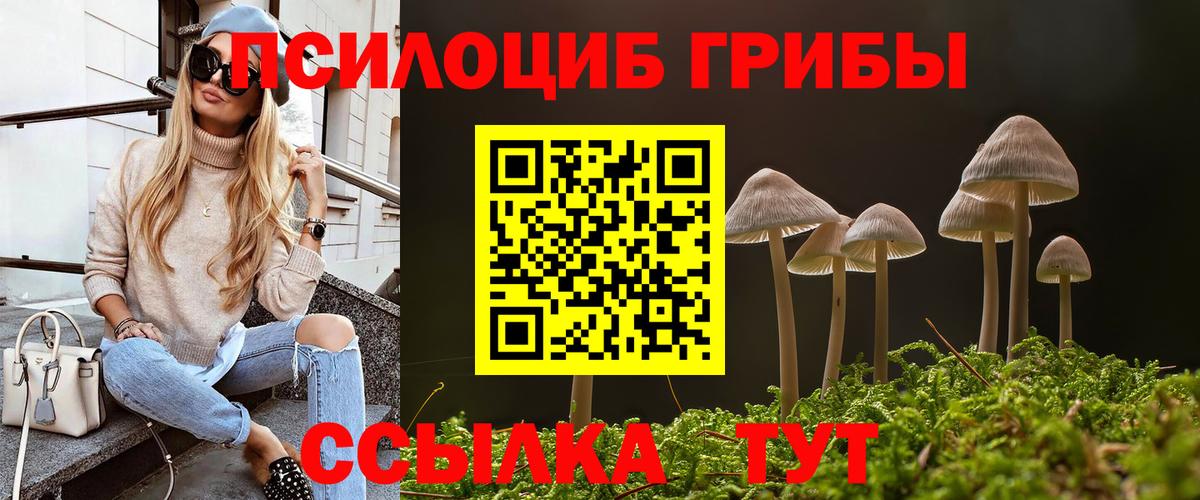Псилоцибиновые грибы прущие грибы  где купить наркоту  Ефремов  Вход с VPN 